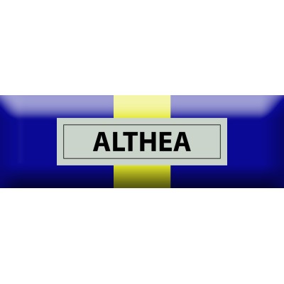 Nastrino Commemorativo EU Missione Althea - Bosnia