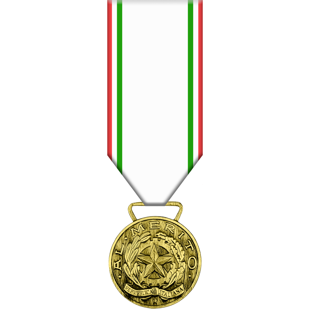 Medaglia d'Oro al Merito della Croce Rossa Italiana