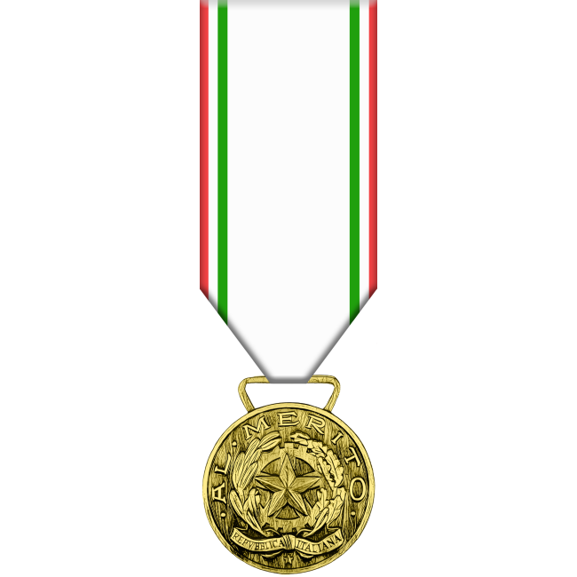 Medaglia d'Oro al Merito della Croce Rossa Italiana