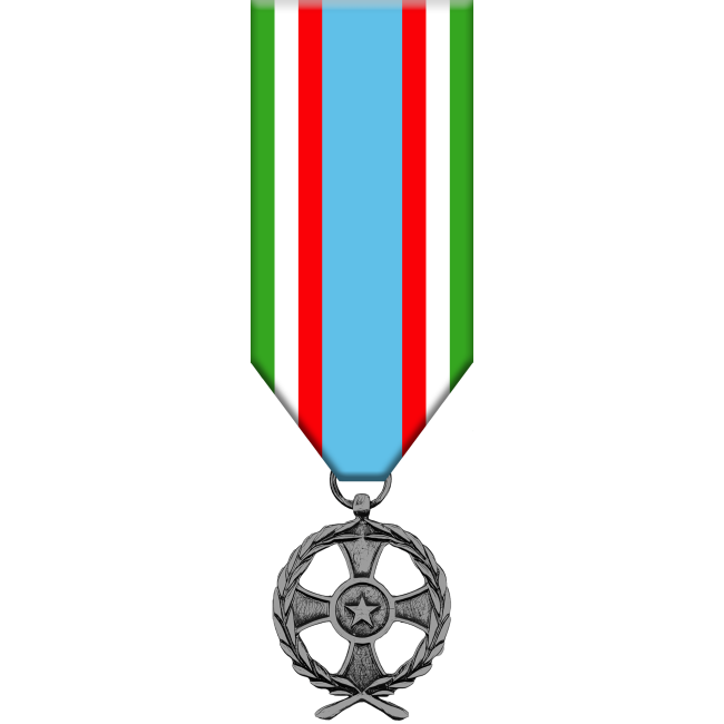 Medaglia Commemorativa per Operazioni di Soccorso Internazionale